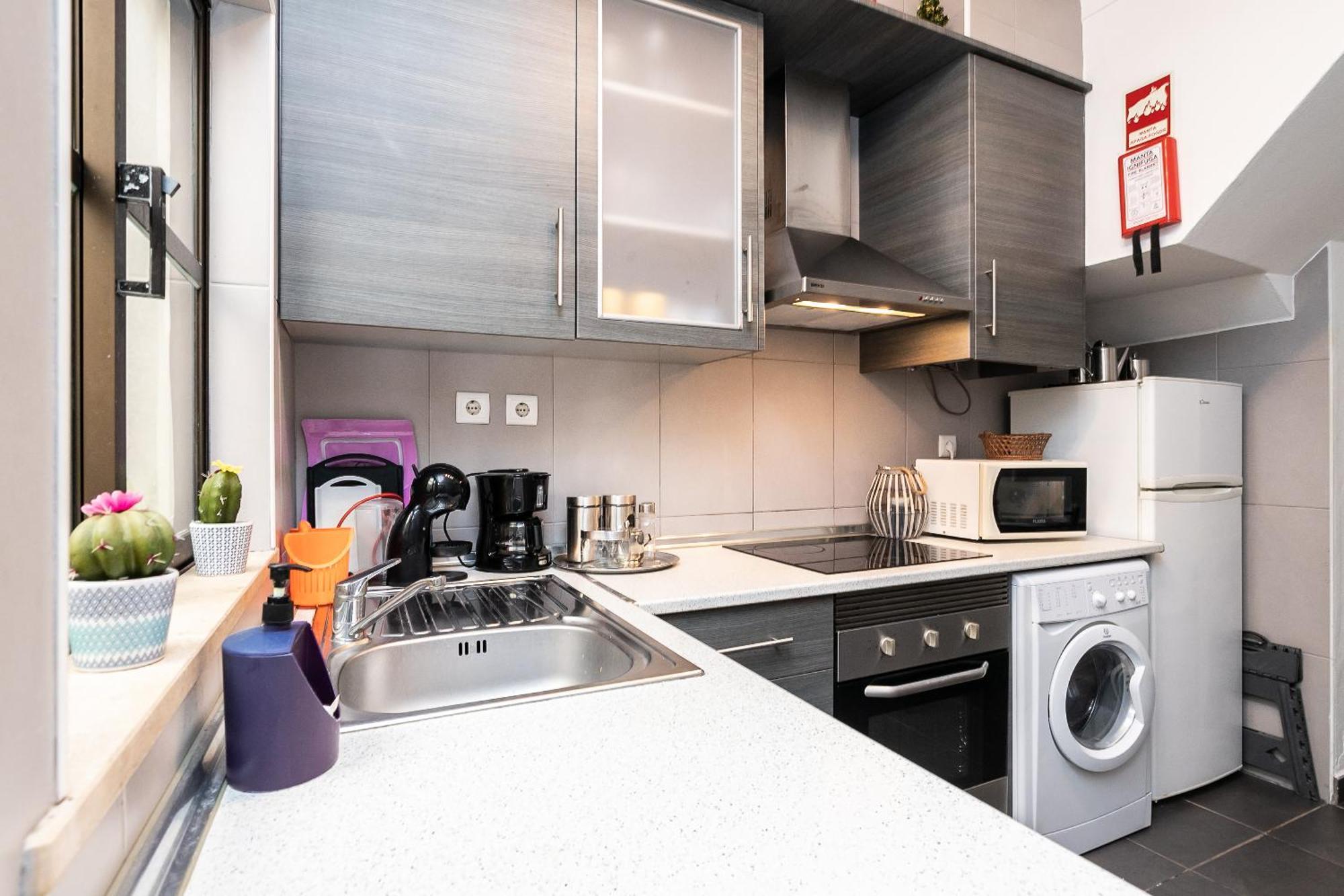 Appartement New!! 1 Bedroom Center - R. Freiras
